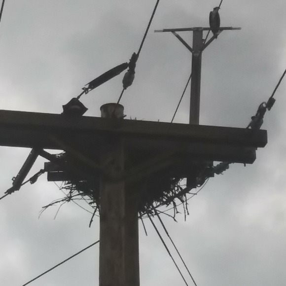 Meet your Posher, Andrée - Picture 1 of 1